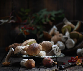 Forest mushrooms on a wooden background. Rustic style.