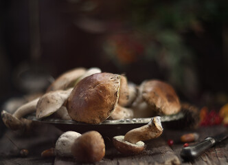 Forest mushrooms on a wooden background. Rustic style.