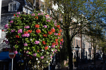 Fototapeta na wymiar Beautiful Hanging Flower Basket with Colorful Flowers along a Canal in the Amsterdam Centrum District