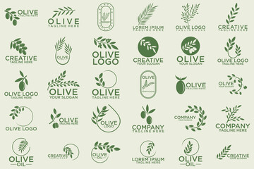 Green olives and organic oil symbols isolated on white background, such a logo template