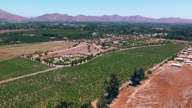 Vineyard Fields of Pirque Wine Growing Region Chile, Aerial Drone Above Red Wine Industry Soil, below Andean Cordillera Mountain Range