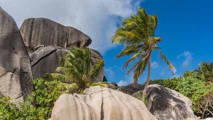 Obraz na płótnie Canvas Granite rocks with steep smoothed slopes against the blue sky. There is lush tropical vegetation around, palm trees with waving leaves. Seychelles. La Digue