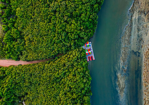 Mangroves