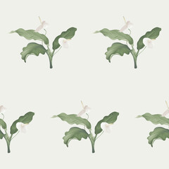 Floral seamless pattern, white Anthurium flowers and leaves on grey