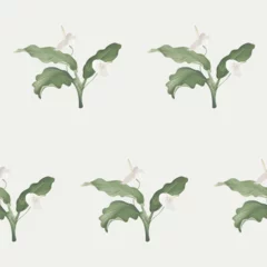 Fotobehang Floral seamless pattern, white Anthurium flowers and leaves on grey © momosama