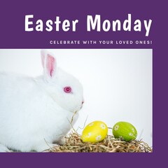 Naklejka premium Image of easter monday text over rabbit with easter eggs on white background