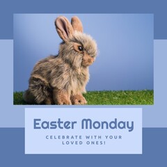 Naklejka premium Image of easter monday text over rabbit on grass on blue background