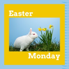 Obraz premium Image of easter monday text over rabbit on grass on blue background