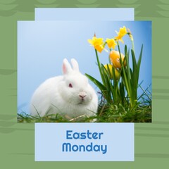 Naklejka premium Image of easter monday text over rabbit on grass on blue background