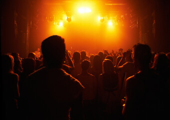 A crowd of people watching a band play on stage at a music concert. This concert was created for...