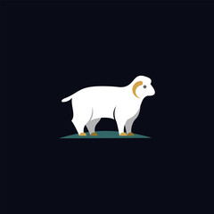 Modern Sheep wool cattle animal illustration