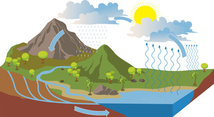 the water cycle illustration infographic