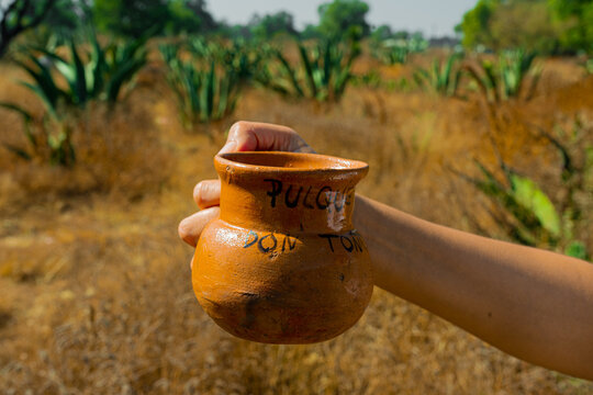 Jarrito de pulque en Tetotihuacan, M&eacute;xico.
