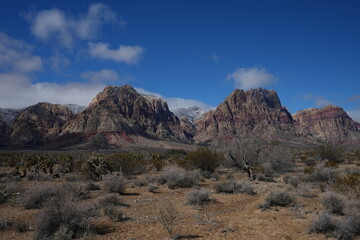 Fototapeta na wymiar Nevada mountains in the mountains