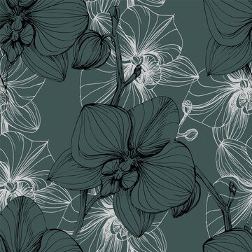 Vector hand drawn seamless pattern with stylized orchid branch for your design, pattern can be used for wallpaper, invitation, fabric.