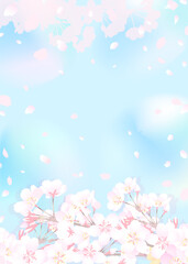 Obraz na płótnie Canvas 桜の枝と明るい青い空