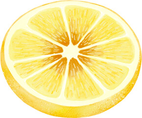 lemon with leaves watercolor hand-drawing PNG