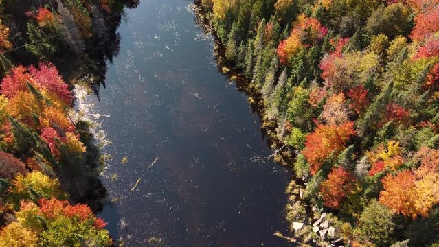 Spectacular autumn nature view river  drone arc down