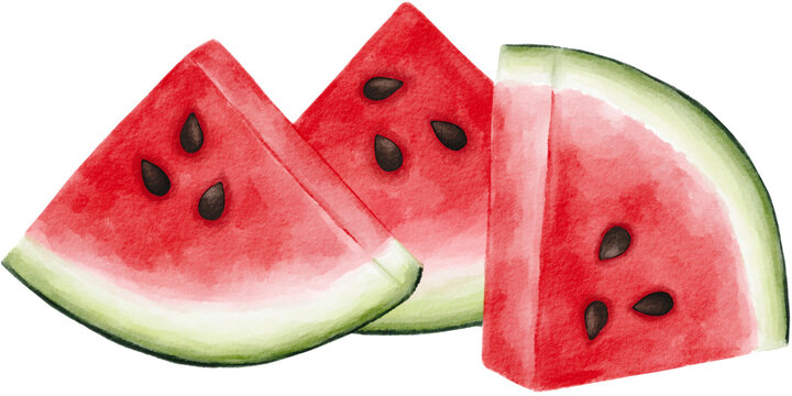 slices of watermelon watercolor PNG
