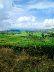 Riung Gunung Pangalengan Landscape at Pangalengan, Bandung Regency, West Java, Indonesia