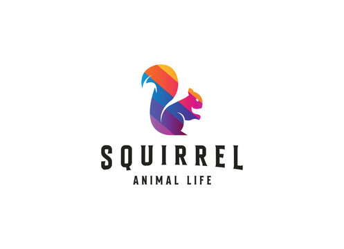 Creative Squirrel Logo. Simple squirrel logo design template.
