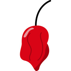 Chili Illustration-15