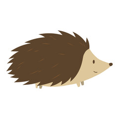 illustration of a hedgehog