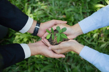 Environmental cooperation. Green business eco company partners holding plants together for Ecology collaboration development ecosystem organization in greenery company partnership concept.CSR and ESG