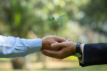 Environmental cooperation. Green business eco company partners holding plants together for Ecology...