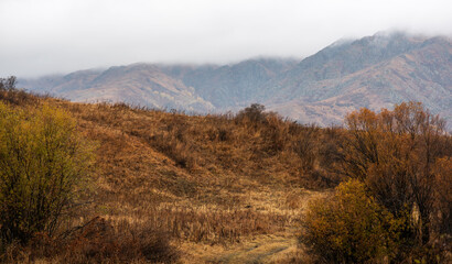 Autumn landscape of a rainy day in the Altai mountains, Russia. Travel to distant beautiful places of the planet. Scenic view of hills with yellow trees and fog on mountain tops in the background.