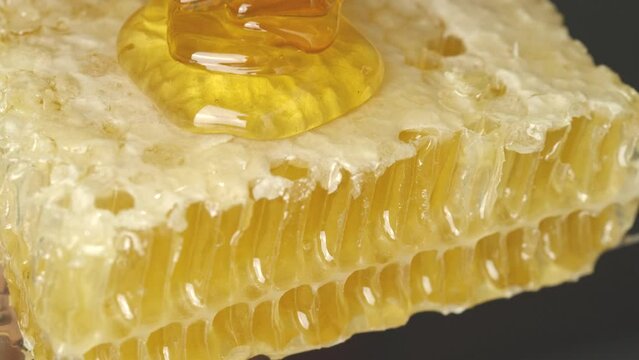 
honeycomb dripping.isolated honey on black.natural food.drip liquid honeycomb.natural ingredient.honey sweet sirup