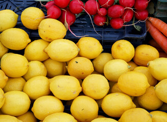 organic and fresh  lemon and radishes at the market counter
