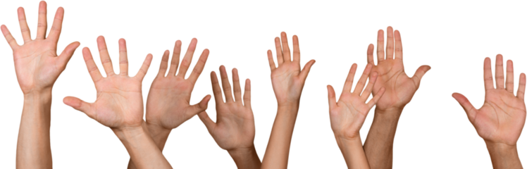 Lots of raised human hands together