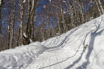 Szlak na połoninę Wetlińską - Bieszczady 