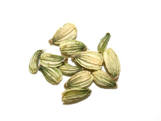Levisticum officinale lovage seed on white background
