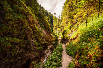 Mountain landscape in mountains, Juranova dolina - valley in The Western Tatras national park. Slovakia, oravice, Orava region. © Zedspider