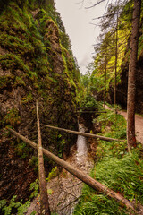 Mountain landscape in mountains, Juranova dolina - valley in The Western Tatras national park. Slovakia, oravice, Orava region. © Zedspider