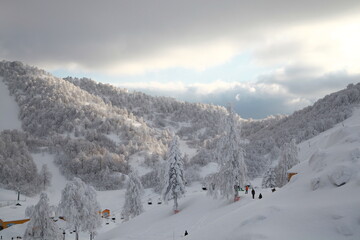 Naklejka premium Colorfull, kartepe, snowy, ice, mountain