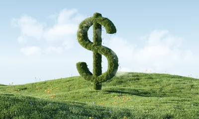 Poster concept of eco green money sign business landscape background. eco green grass money dollar sign. green money dollar 3d illustration render © boommaval