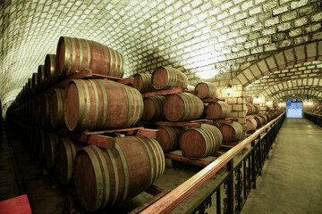 Wine Cellar with Wooden Barrels