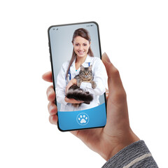 Online veterinarian service on-demand and pet care