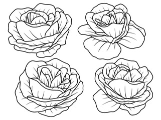 Flower line art