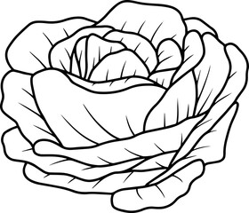 Fototapeta premium Flower line art 