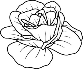 Flower line art
