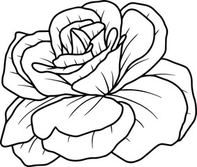 Hand drawing sketch flower line art