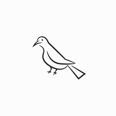 creative silhouette line art dove, pigeon, bird logo design illustration with modern, simple and elegant styles isolated on white 