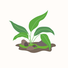 A plant in the soil. Illustration with a living plant. Vector image.