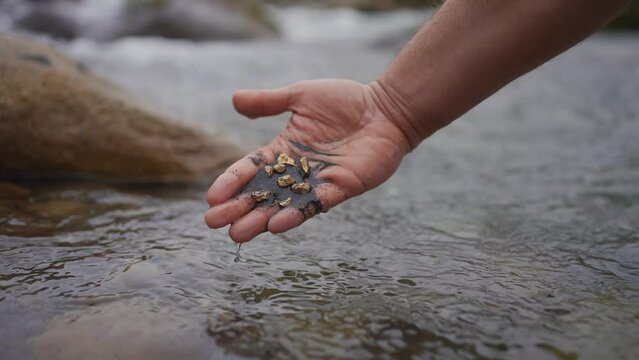 Gold nuggets in hand gold mining old school ,traditional gold rush mining