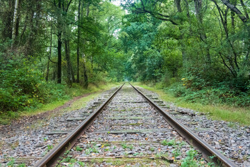 Obraz premium horizontal photo of old train tracks through the green forest