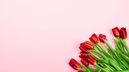 Top view on pink background with a bouquet of red tulips lying in the corner. Blank for designer cards with place for text.